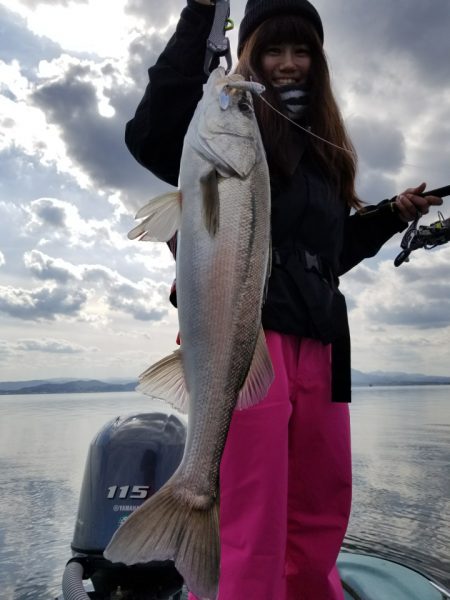 アマテラス 釣果