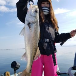 アマテラス 釣果