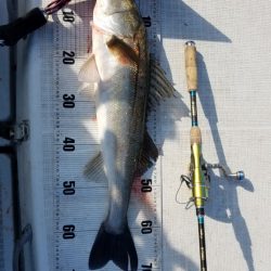 海龍丸（島根） 釣果