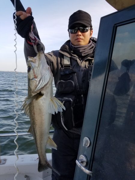 海龍丸（島根） 釣果