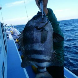 新幸丸 釣果