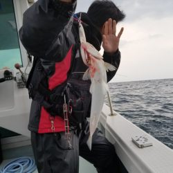 アマテラス 釣果