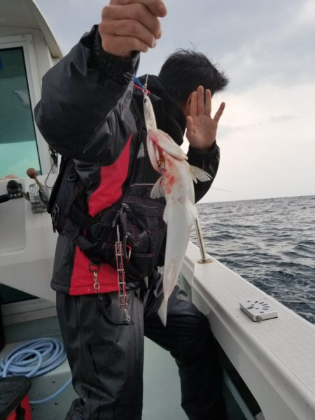 アマテラス 釣果