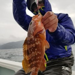 アマテラス 釣果