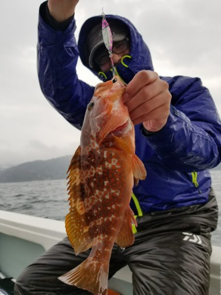 アマテラス 釣果