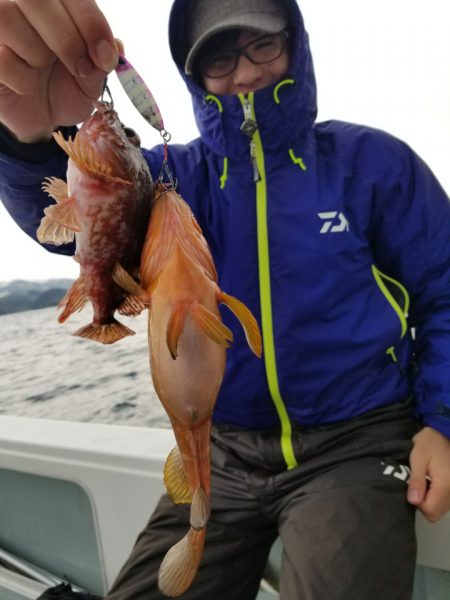 アマテラス 釣果