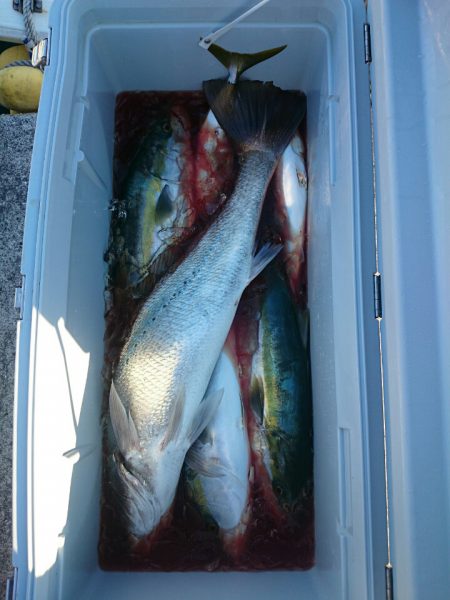 エンペラー 釣果