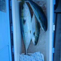 エンペラー 釣果