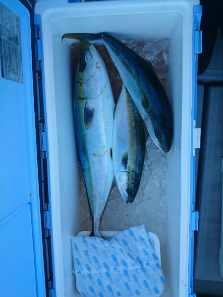 エンペラー 釣果