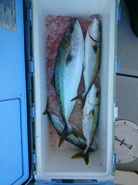 エンペラー 釣果