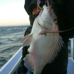 新幸丸 釣果