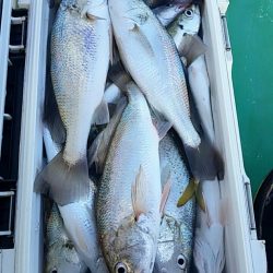 金沢八景鴨下丸 釣果