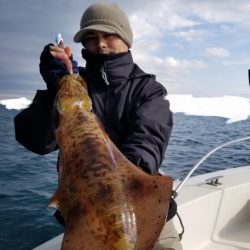 ソルトウォーターガイドフレンズ 釣果