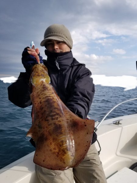 ソルトウォーターガイドフレンズ 釣果