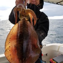 ソルトウォーターガイドフレンズ 釣果