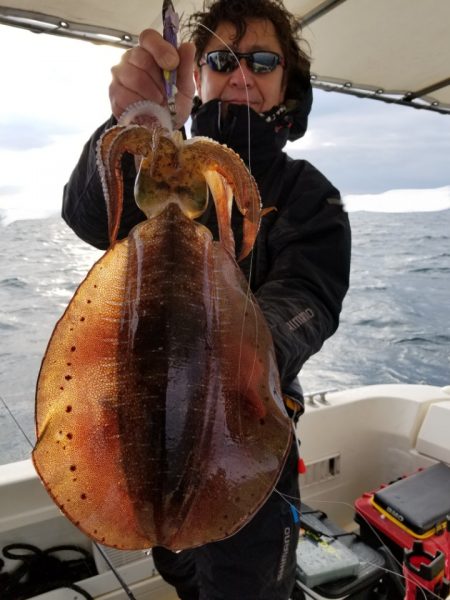 ソルトウォーターガイドフレンズ 釣果