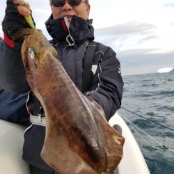 ソルトウォーターガイドフレンズ 釣果