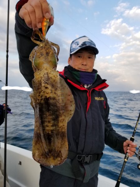 ソルトウォーターガイドフレンズ 釣果