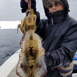 ソルトウォーターガイドフレンズ 釣果