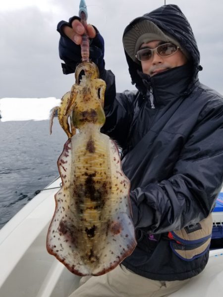 ソルトウォーターガイドフレンズ 釣果