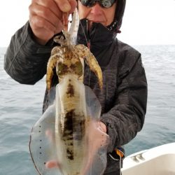 ソルトウォーターガイドフレンズ 釣果