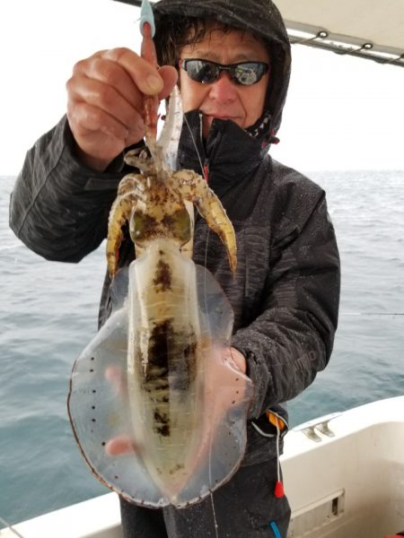 ソルトウォーターガイドフレンズ 釣果