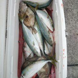 エンペラー 釣果