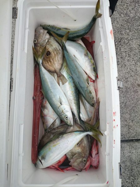 エンペラー 釣果