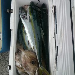 エンペラー 釣果