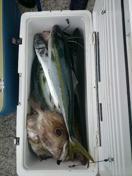 エンペラー 釣果