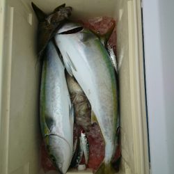 エンペラー 釣果