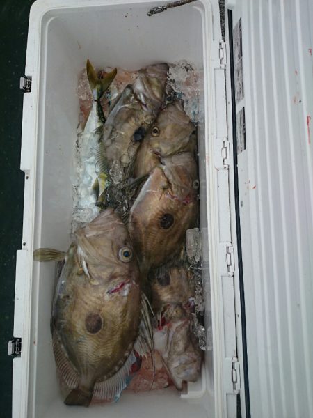 エンペラー 釣果