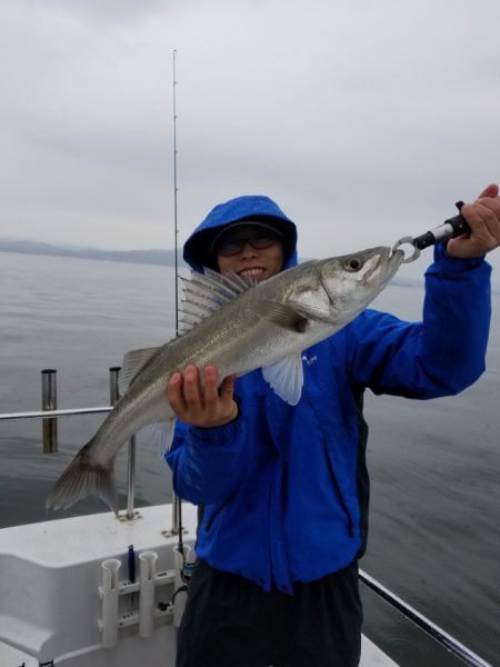海龍丸(島根) 釣果
