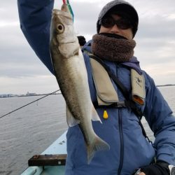 アマテラス 釣果