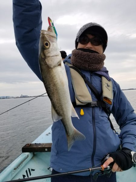 アマテラス 釣果