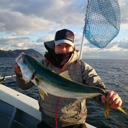 エンペラー 釣果