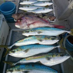 エンペラー 釣果