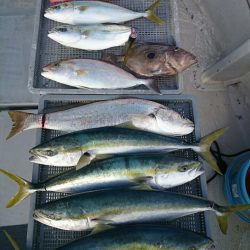 エンペラー 釣果