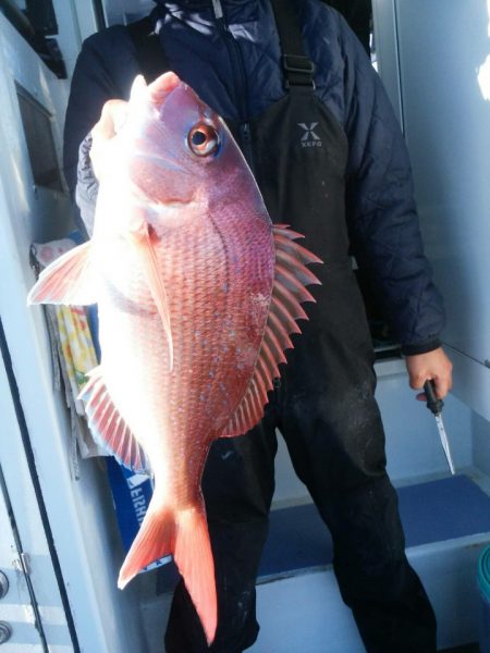 新幸丸 釣果