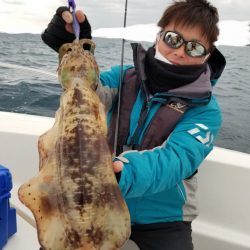 ソルトウォーターガイドフレンズ 釣果