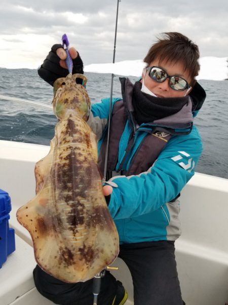 ソルトウォーターガイドフレンズ 釣果