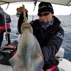 ソルトウォーターガイドフレンズ 釣果