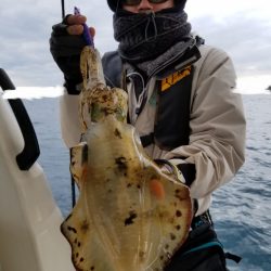 ソルトウォーターガイドフレンズ 釣果