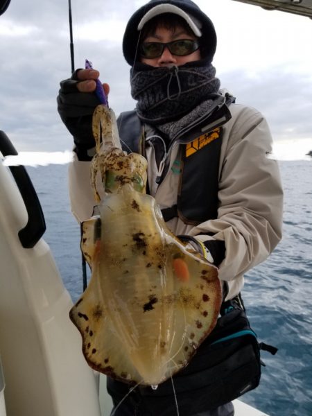 ソルトウォーターガイドフレンズ 釣果