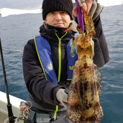 ソルトウォーターガイドフレンズ 釣果