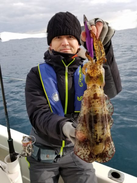 ソルトウォーターガイドフレンズ 釣果