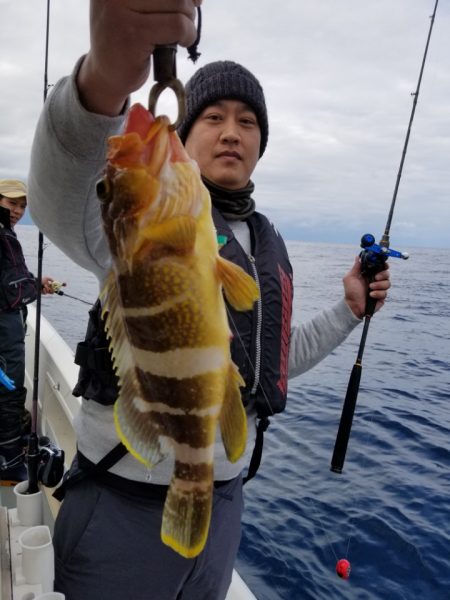 ソルトウォーターガイドフレンズ 釣果