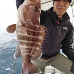 ソルトウォーターガイドフレンズ 釣果