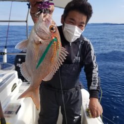 ソルトウォーターガイドフレンズ 釣果