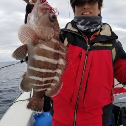 ソルトウォーターガイドフレンズ 釣果